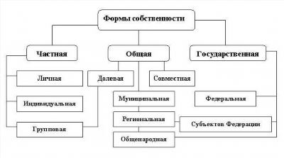 Какие бывают доли