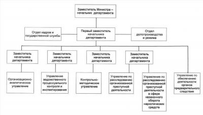 Полиция в структуре органов правопорядка