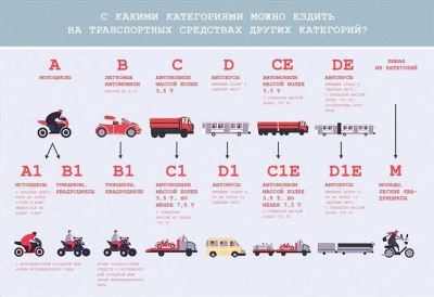 Могут ли другие документы позволить управлять мопедом?