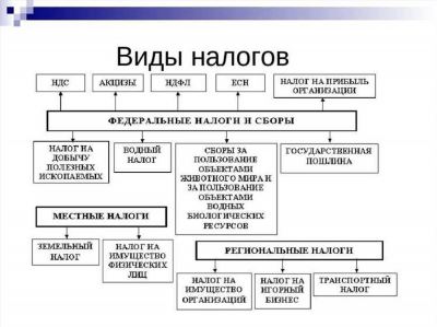 Когда и где платить налог на наследство?