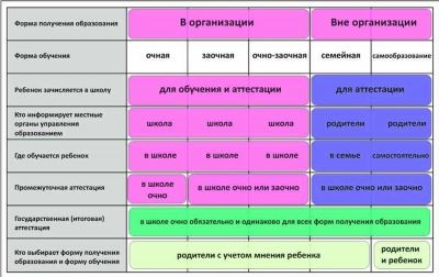 Уникальные черты образовательных форматов