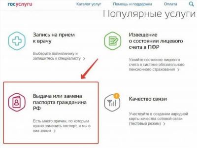 Что делать, если паспорт не проходит проверку на Госуслугах?