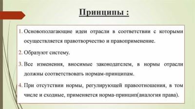 Для обеспечения гласности в арбитражном процессе между принципом гласности и принципом сопровождения одним из специалистов правомерного интереса граждан или организаций устанавливается взаимосвязь. Сопровождение судебного процесса юристом, адвокатом или иным представителем может быть осуществлено при предъявлении надлежащим образом уполномоченного представителя доказательств последнего с его разрешения. Юридическое сопровождение арбитражного процесса представляет собой осуществление адвокатом или другим юридическим лицом общей помощи лицу, непосредственно участвующему в процессе.