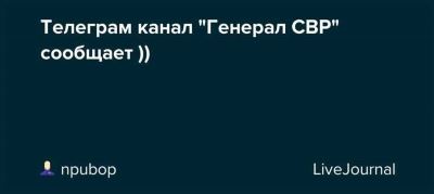 Раскрыта информация о работе ФССП и ОПИ России