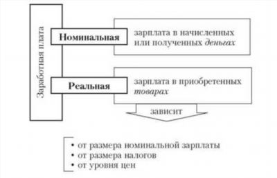 В чем состоит различие между номинальной зарплатой и ее реальной величиной?